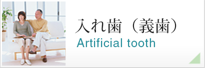 入れ歯（義歯）